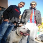 Karim el gang sur yala.fm